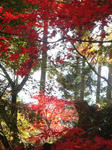 DSC03181.JPG