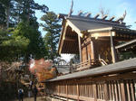 DSC03185.JPG