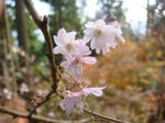 DSC03186.JPG