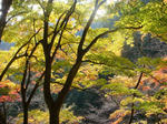 DSC03187.JPG