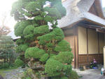 DSC03213.JPG