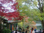 DSC03214.JPG