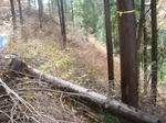 DSC03239.JPG