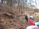 DSC03240.JPG