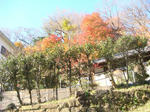DSC03252.JPG