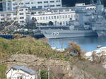 IMG_0623.jpg