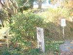 DSC03258.JPG