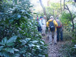 DSC03264.JPG