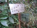 DSC03265.JPG