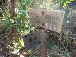 DSC03267.JPG