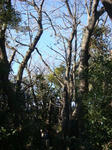 DSC03271.JPG