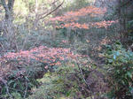 DSC03274.JPG