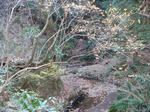 DSC03276.JPG