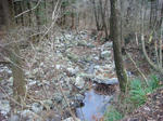 DSC03285.JPG