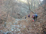 DSC03306.JPG