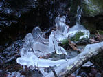 DSC03307.JPG