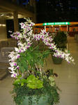 DSC03530.JPG