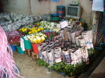 DSC03532.JPG