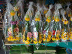 DSC03533.JPG