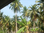 DSC03628.JPG
