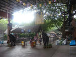 DSC03639.JPG