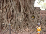 DSC03752.JPG