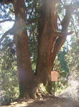 DSC03868.JPG