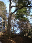 DSC03869.JPG