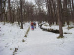 DSC03884.JPG