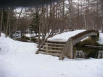 DSC03886.JPG