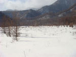 DSC03893.JPG