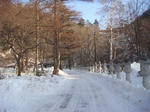DSC03922.JPG