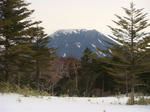 DSC03931.JPG