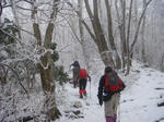 DSC03950.JPG