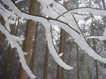DSC03952.JPG
