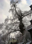 DSC03961.JPG