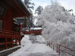 DSC03962.JPG