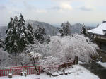 DSC03963.JPG