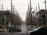 DSC03974.JPG