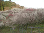 DSC03993.JPG