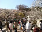 DSC04013.JPG