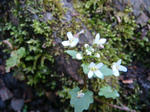 DSC03994.JPG