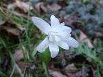 DSC04000.JPG