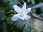 DSC04006.JPG