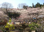 DSC04014.JPG