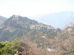 DSC04019.JPG