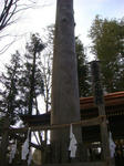 DSC04201.JPG