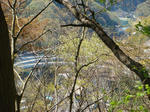DSC04239.JPG