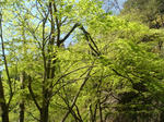DSC04245.JPG