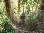 DSC04248.JPG